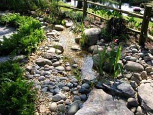 Small Stone Pond Area