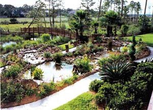 Water Garden System